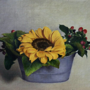 Sunflower in a pot (Art Print)