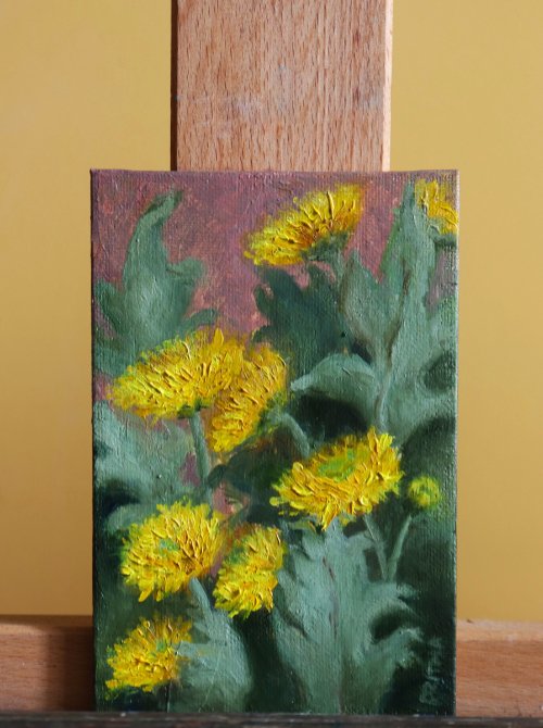 Yellow Chrysanthemums