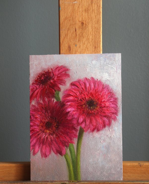 Pink Gerberas