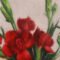 Red Carnations