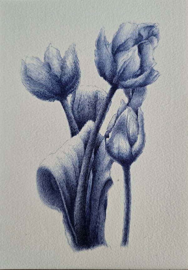 Three Lilies; 8.5 x 11 inches Three Lilies